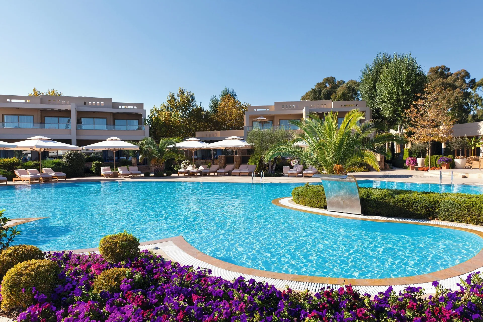 Sani Asterias — pool
