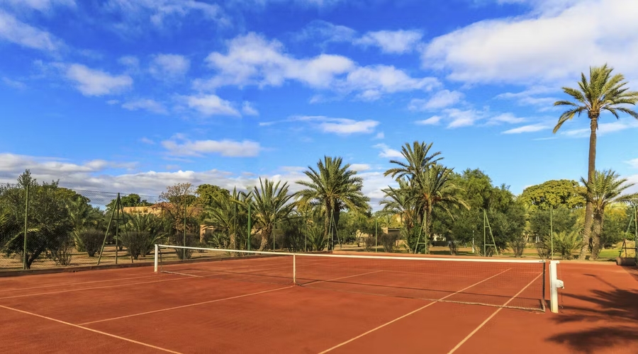Barcelo Palmeraie — activities