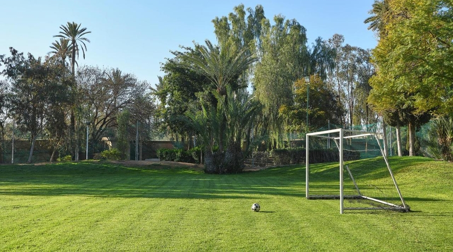 Iberostar Waves Club Palmeraie Marrakech — activities