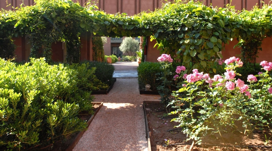 Kenzi Club Agdal Medina — garden