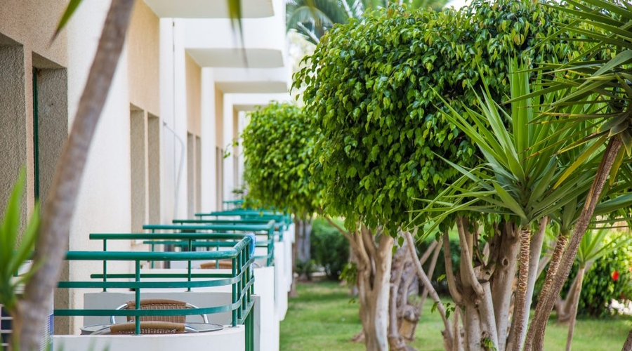 Narcissos Waterpark Resort — garden