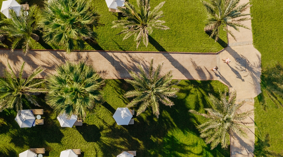 Louis Paphos Breeze — garden