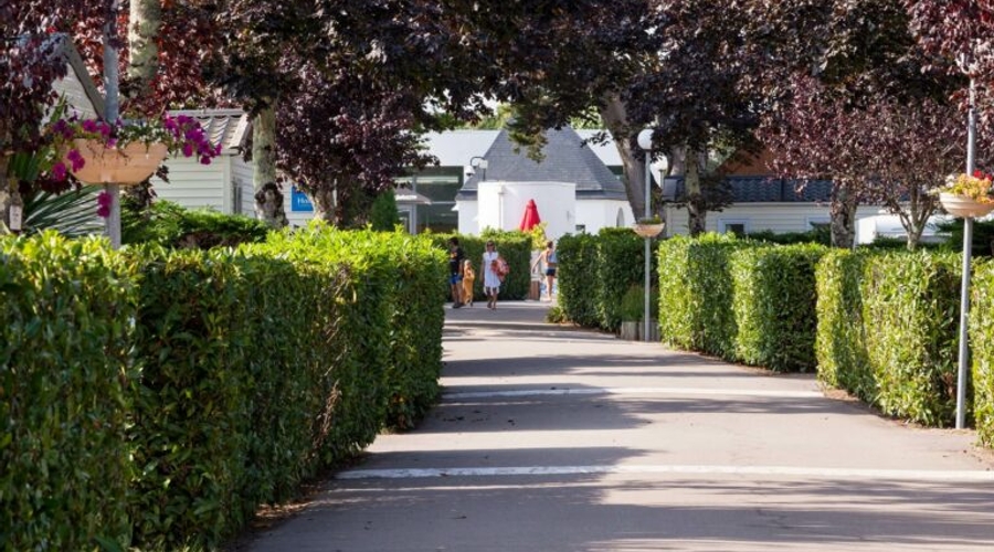 Camping Marvilla Parks - Les Menhirs — garden