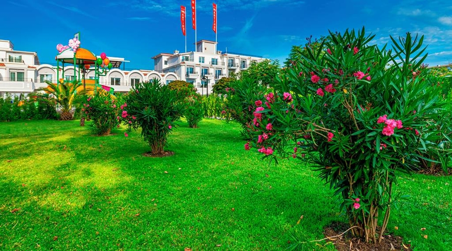 Hotel Martinez — garden