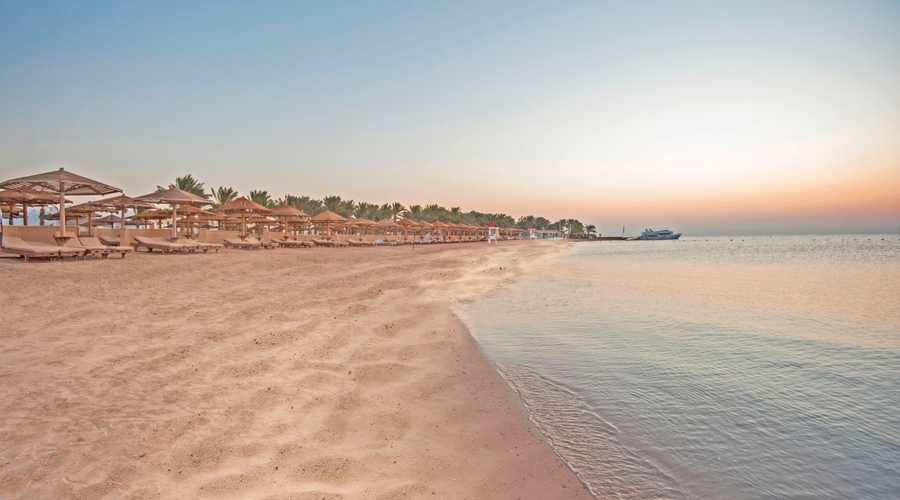 Sunrise Royal Makadi Resort — beach