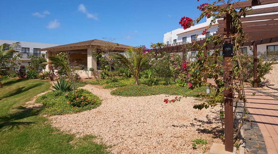 Melia Dunas Beach Resort & Spa — garden