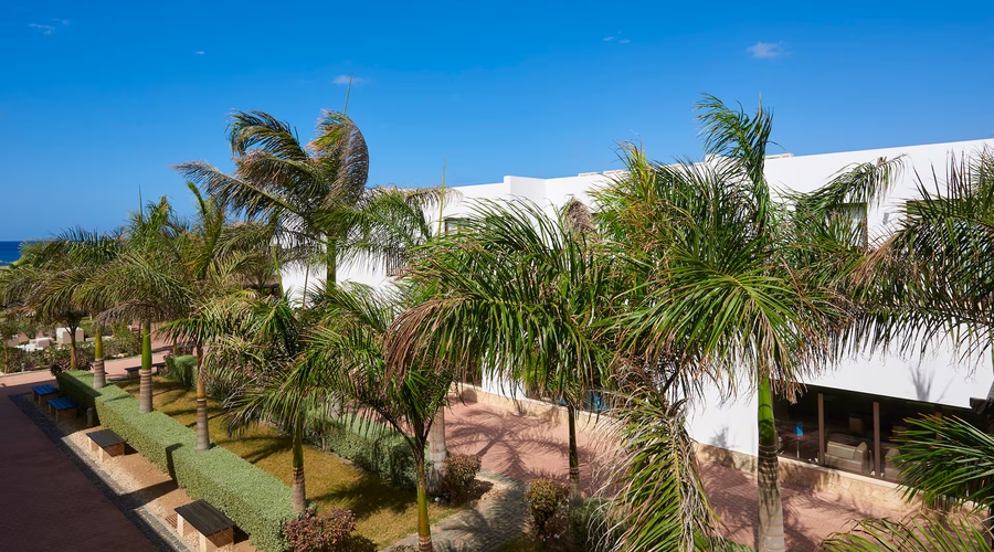 Melia Dunas Beach Resort & Spa — garden
